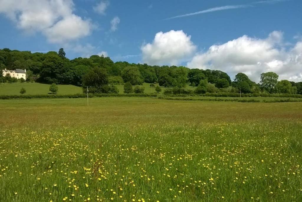 Plas Yn Yale With Mountain Views From All Windows Wrexham Exteriör bild